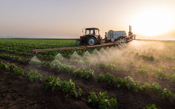 Best Pest Control Near Me  in Richgrove, CA