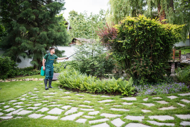 Professional Pest Control in Richgrove, CA