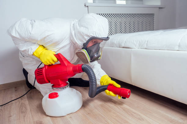 Best Insect Control  in Richgrove, CA