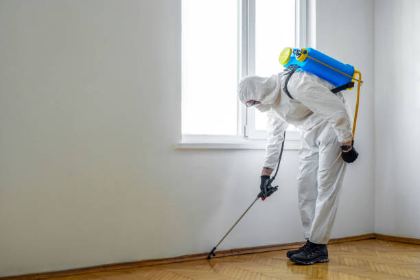 Best Wildlife Control Services  in Richgrove, CA