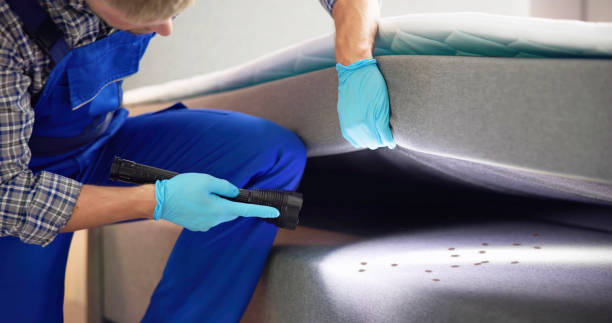 Best Mosquito Control Services  in Richgrove, CA