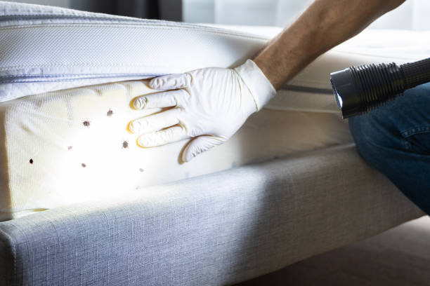 Best Exterminator Services  in Richgrove, CA
