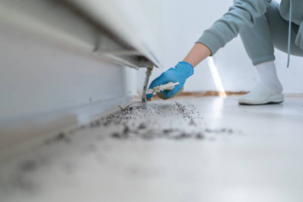 Best Termite Control Services  in Richgrove, CA