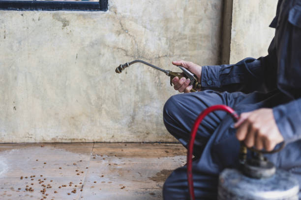 Best Affordable Pest Control Services  in Richgrove, CA